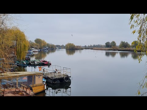 Liniștea din extra sezon, Mila23, Delta Dunării,sfârșit de noiembrie 2022.Village Mil23 Danube Delta