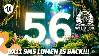 UE5.6 - DX11 & 12 SM5 Lumen Support is Back!!!!