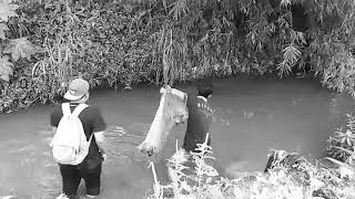 Download lagu Ngecrik (ngejala) - Getus_Adventure mp3