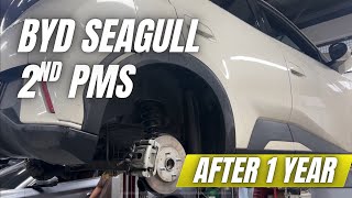 BYD Seagull 1-Year Service Update | 2nd PMS Cost & Full Breakdown!