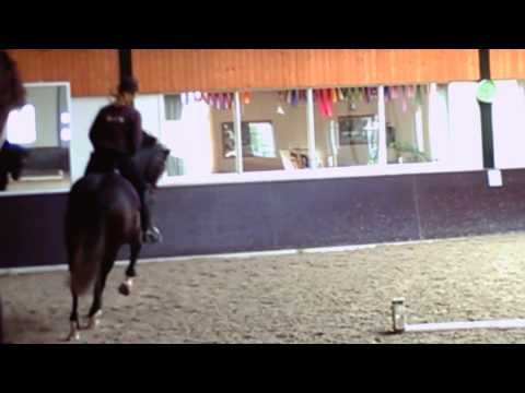 Ampere x Welthit 2 '10