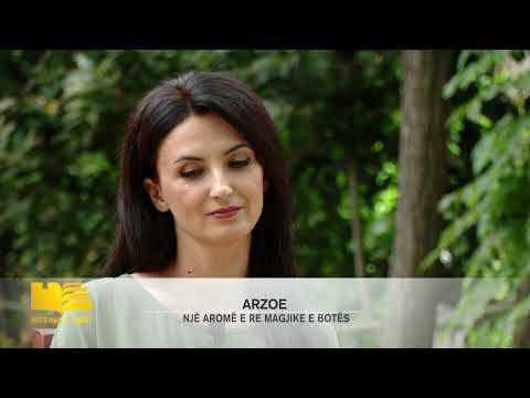 Vitrina e Librit, 11 Gusht 2019