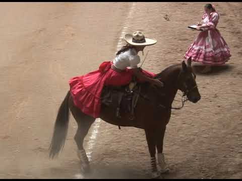 Zacatecas 2008 Final Escaramuzas y Charro Completo parte 1