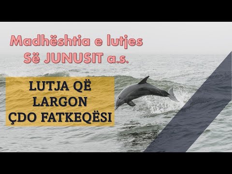 Lutja madhështore e Junusit a.s. - Lutja që largon çdo fatkeqësi