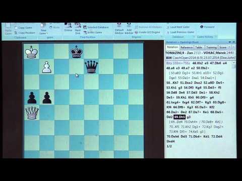 A 6.9. FM Zan TOMAZINI  - GM Marek VOKÁČ 1/2-1/2