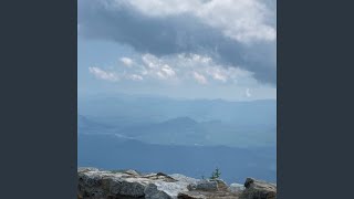 Cover art for Senses