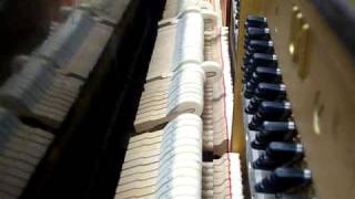 The Dear Hunter - Medley