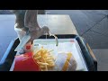 Seagulls Attack My Maccas Stole My French Fries
