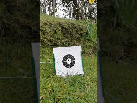 Daystate huntsman regal HR