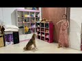 OMG MY SUPER HERO SMART KOKO Fine Way To Help Pregnant Lady Davann Headache Calling For Help
