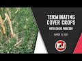 Terminating Cover Crops | Chris Proctor | March 19, 2021