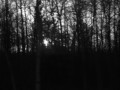 Officium Triste - This Inner Twist 