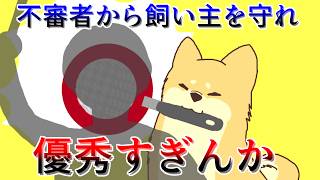 犬になって飼い主を守る日常サスペンス【番犬もちまる】