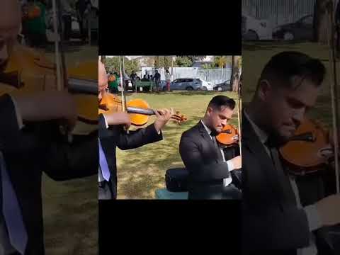 Hino 209 CCB - Oh! Marchai, soldados, sois de Cristo! #violino #mateustonette #ccb #hinário5