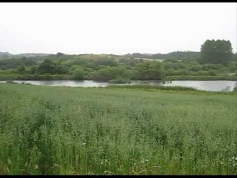 Haderslevbanen 2011-07-13