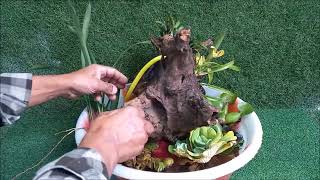 FASENDO PAISAGISMO SIMPLES, com fonte 2 mt