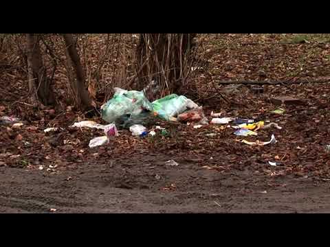 Куряне 10 лет не могут добиться ремонта дорог в своём районе