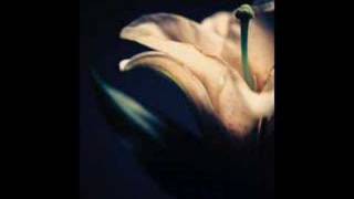 Vyvienne Long - Never Leave You