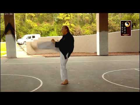 Basics: Front Snap Kick – Sensei Rod Lindgren