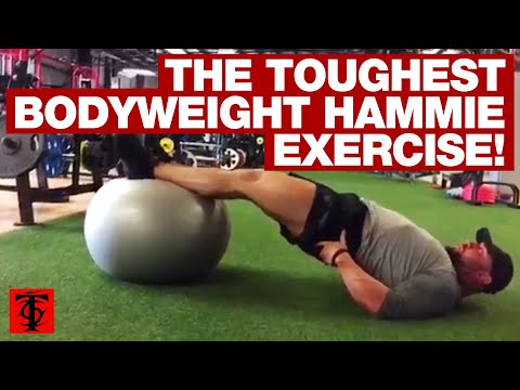 Watch Ball Leg Curl on YouTube