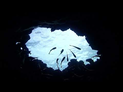 El Nido Underwater Tunnel | May 2018 | El Dive