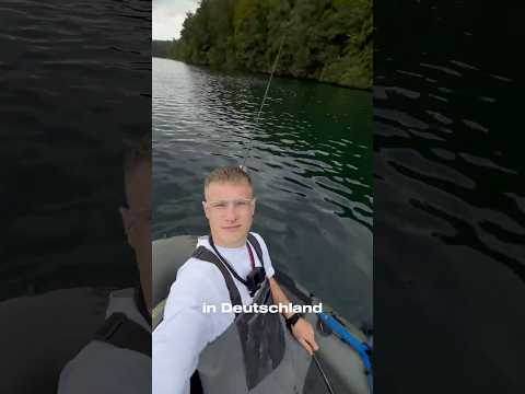 German forest lake FULL of large perch?