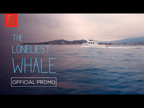 The Loneliest Whale: The Search for 52 (TV Spot 'Cutdown')
