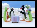 Pingu Movie Kendall Arizona 5 5 Movieclips