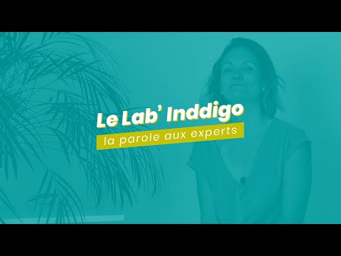 Le Lab' Inddigo #3 — Amélioration des Connaissances des Installations Biomasse sur la qualité de l'air