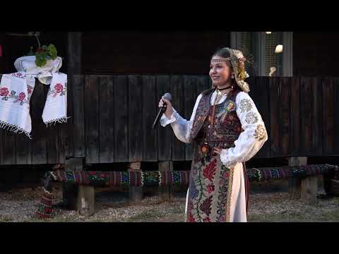 Folclor banatean/ Roxana Anamaria Goia