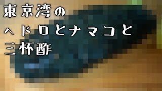 【料理】釣りに行ったらなんか引っかかったので食べます【なまこ酢】
