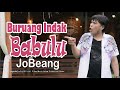 CO BURUANG INDAK BABULU JOBEANG LAGU KOCAK MINANG Official Video Music APH Management
