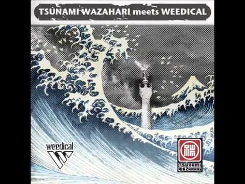 Tsunami Wazahari meets Weedical - Son ft Saimn-I & Vocal dub