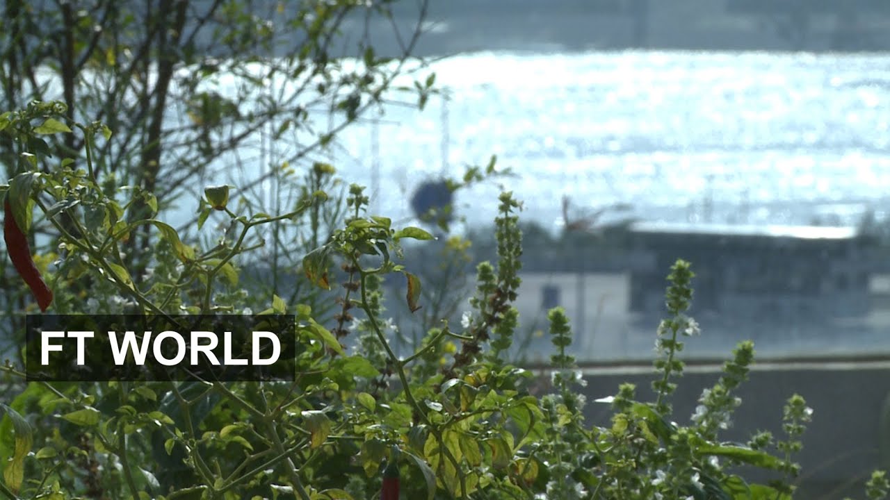 Hong Kong's urban farms | FT World