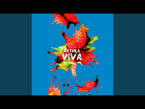 Couscous (andhim Remix)