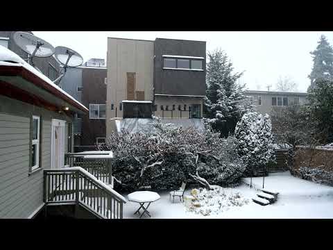 Snow in Seattle on 12/26/21