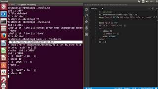 73 Shell Scripting Tutorial for Beginners 28   How to debug a bash script