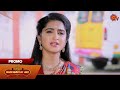 Manamagale Vaa Promo 14 Jan 2026 Tamil Serial Sun TV