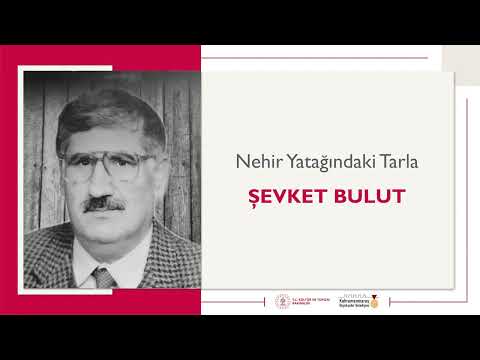 Nehir Yatağındaki Tarla | Şevket Bulut