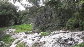 מגנזיום, מרק וקבנוס מפוקפק!