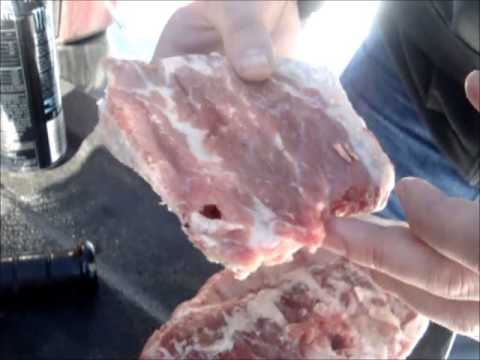 G2 Research RIP vs. Pork Ribs. Human torso model