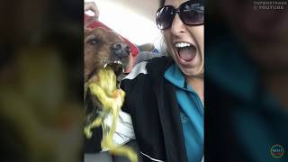 50 Awkward Selfies Taken At The Right Moment