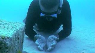 Brunetto e Giuseppe: amici per le pinne