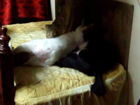 Monina & Celestina 6/18/09