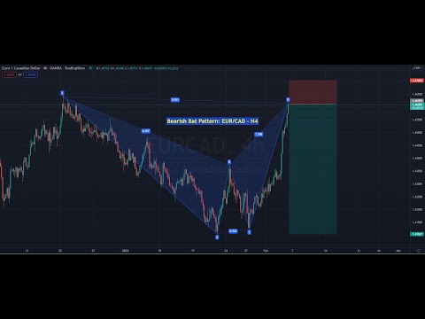 Live Forex Trading and Signals -  New York Session - 7th February 2022