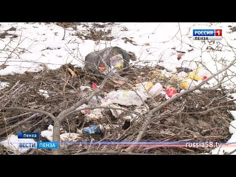 Растаявший снег в Пензе показал нравы местных жителей