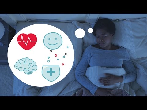 Science - Why Is Sleep Important