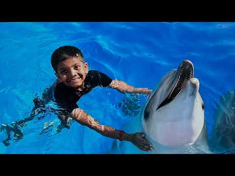 Yaksha and Dolphin - April 2025