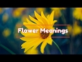 Flower Meanings: The Meaning of Different Type of Flowers