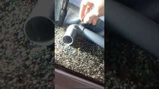 うちのうなぎ！エサやり動画